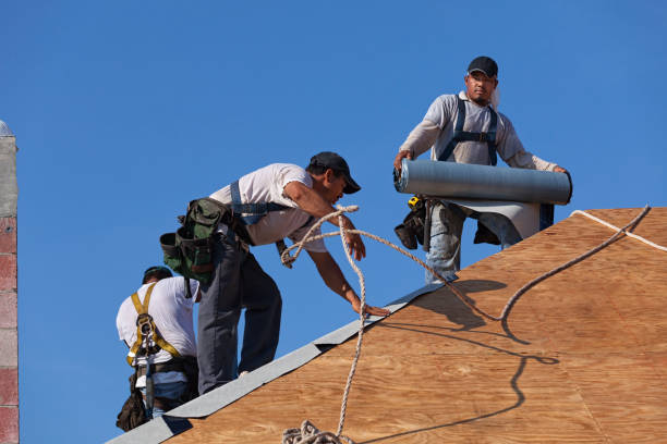 Best Sealant for Roof  in Barrington, IL