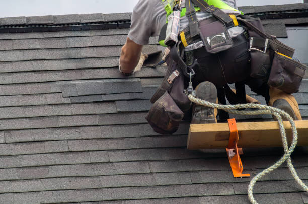 Best Roof Gutter Cleaning  in Barrington, IL