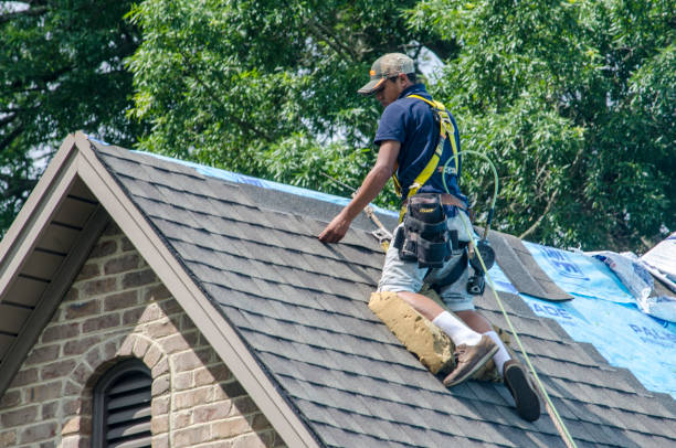 Best Roof Waterproofing Services  in Barrington, IL